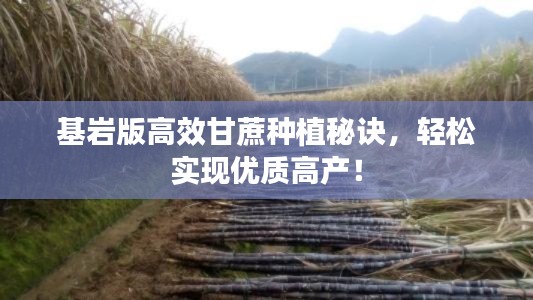鸟吏鼈官
