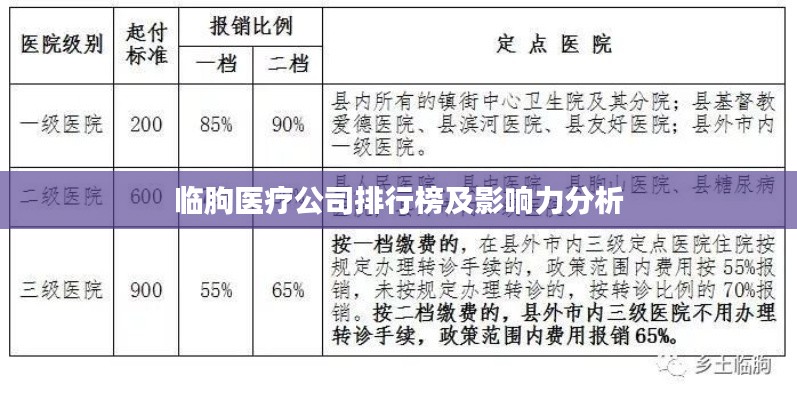 临朐医疗公司排行榜及影响力分析