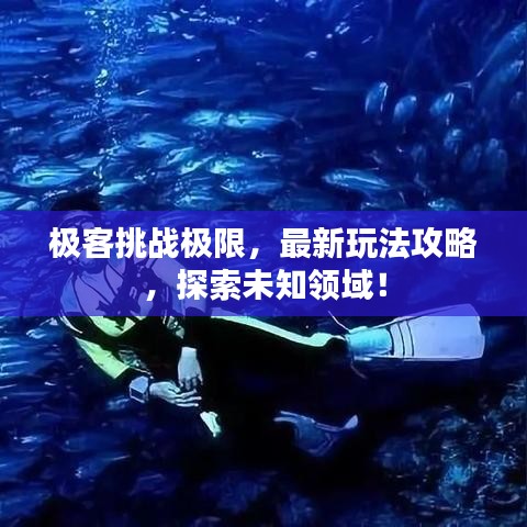 极客挑战极限，最新玩法攻略，探索未知领域！