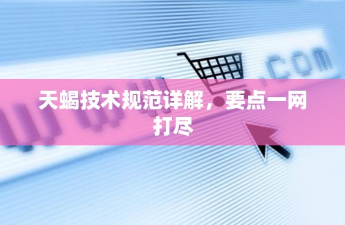 天蝎技术规范详解，要点一网打尽
