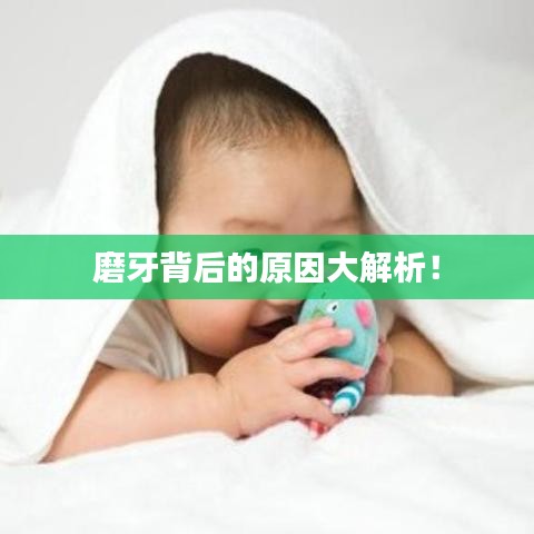磨牙背后的原因大解析！