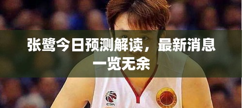 张鹭今日预测解读，最新消息一览无余