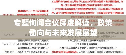 专题询问会议深度解读，政策动向与未来发展展望