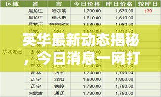 英华最新动态揭秘，今日消息一网打尽！