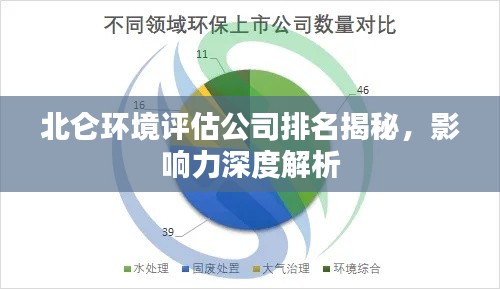 北仑环境评估公司排名揭秘，影响力深度解析