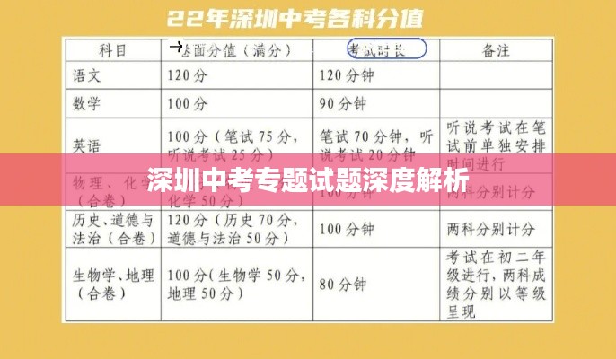 深圳中考专题试题深度解析
