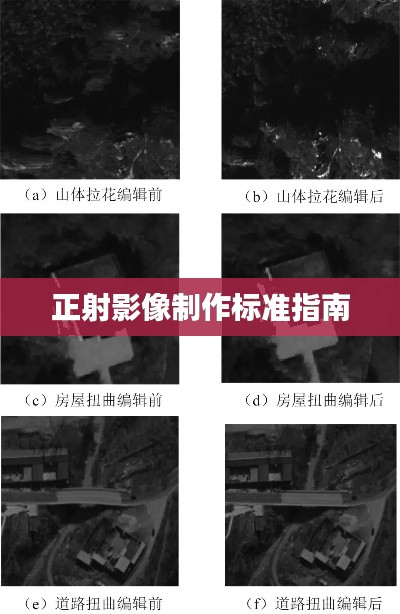 倦鸟知还