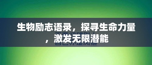 母以子贵