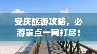坌鸟先飞