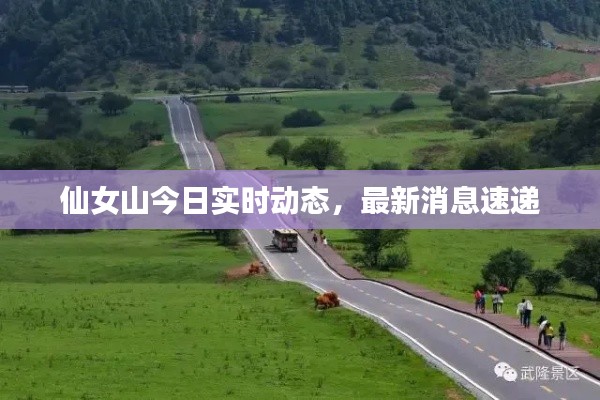 仙女山今日实时动态，最新消息速递