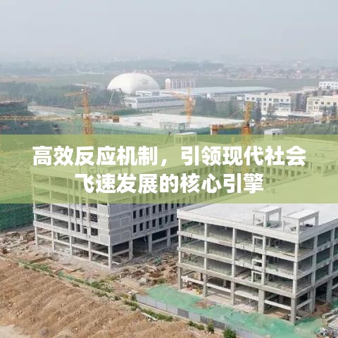 风韵犹存
