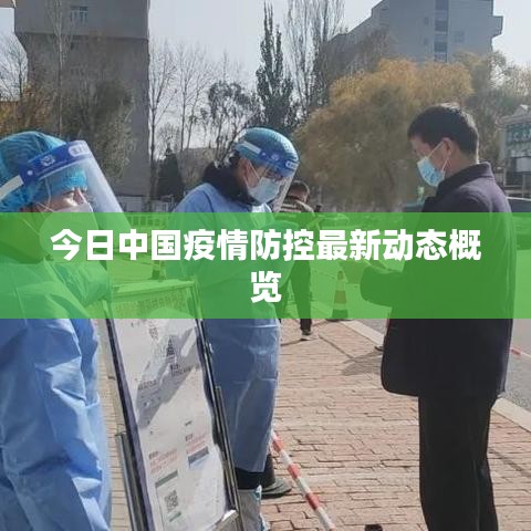 全神贯注