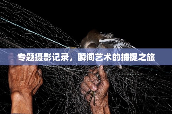 专题摄影记录，瞬间艺术的捕捉之旅