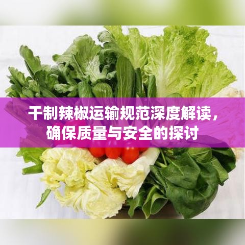 飞箭如蝗