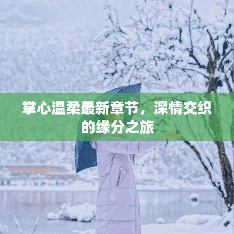 掌心温柔最新章节，深情交织的缘分之旅