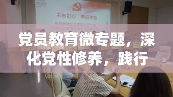 乌鸟之情