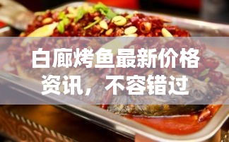 白廊烤鱼最新价格资讯，不容错过！