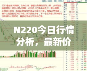 N220今日行情分析，最新价格走势解读
