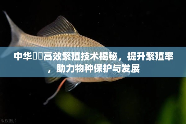 功名富贵