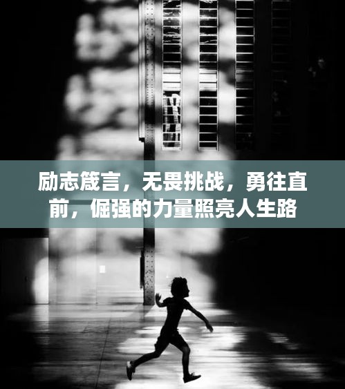 励志箴言，无畏挑战，勇往直前，倔强的力量照亮人生路