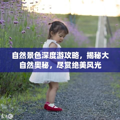 见贤思齐