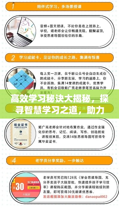 高效学习秘诀大揭秘，探寻智慧学习之道，助力高效成长！