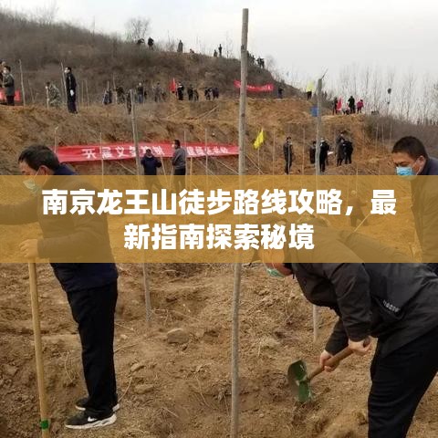 南京龙王山徒步路线攻略，最新指南探索秘境