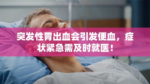 仪表堂堂