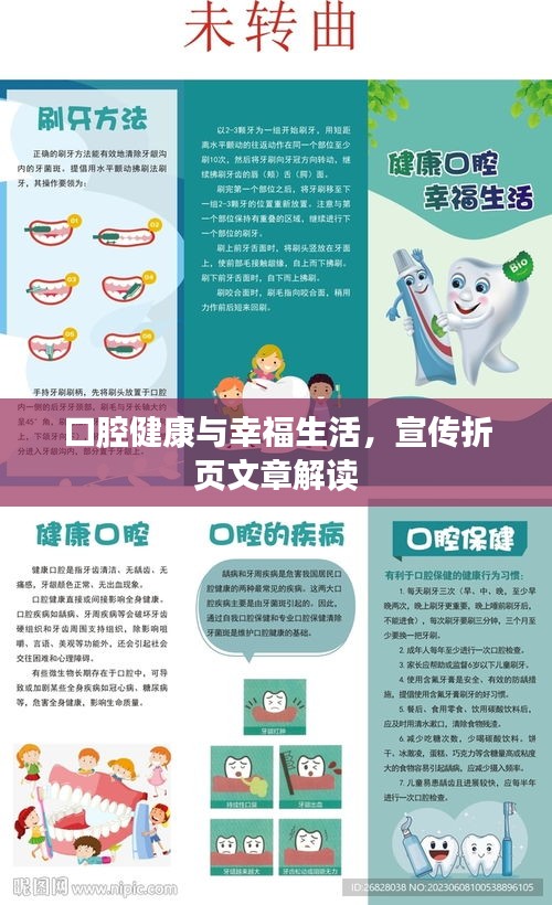 口腔健康与幸福生活，宣传折页文章解读