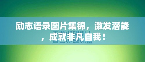 漫天飞舞