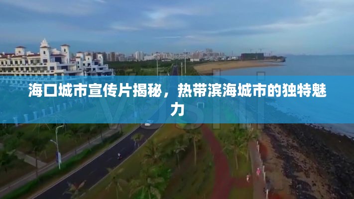 海口城市宣传片揭秘，热带滨海城市的独特魅力