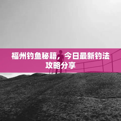 福州钓鱼秘籍，今日最新钓法攻略分享