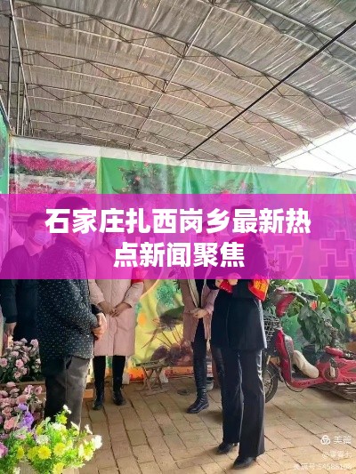 石家庄扎西岗乡最新热点新闻聚焦