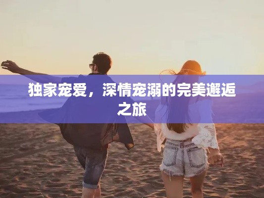 独家宠爱，深情宠溺的完美邂逅之旅