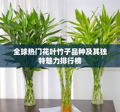早生贵子