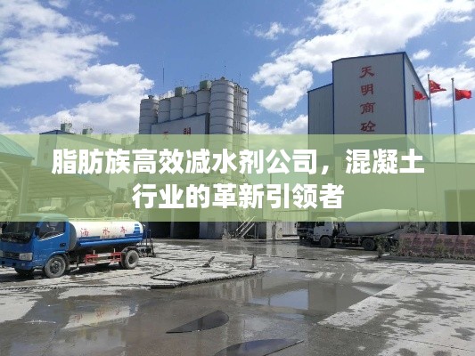 脂肪族高效减水剂公司，混凝土行业的革新引领者