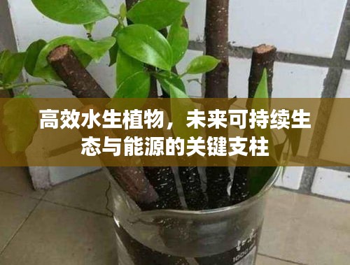 荡然无存
