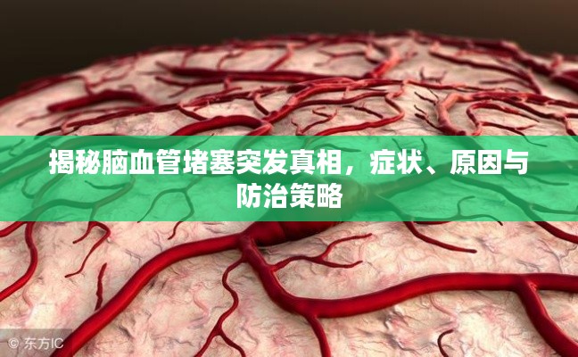 无独有偶