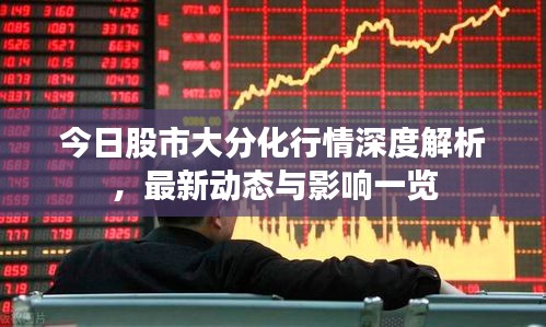 今日股市大分化行情深度解析，最新动态与影响一览