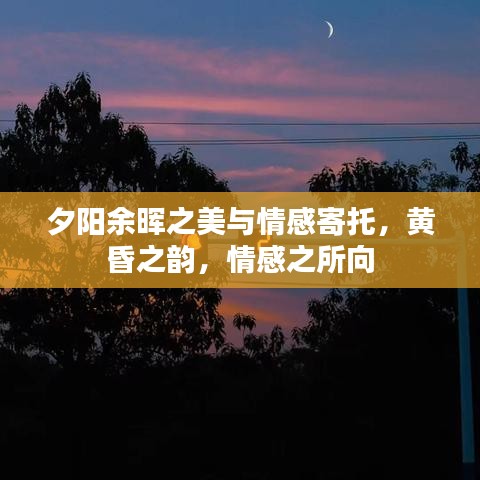 雅量高致