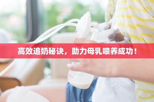 风度翩翩