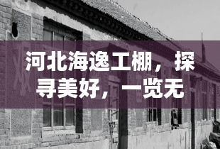 蓬荜生辉