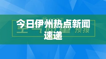 今日伊州热点新闻速递