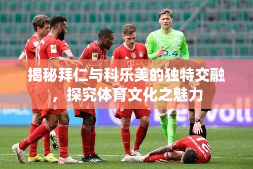 揭秘拜仁与科乐美的独特交融，探究体育文化之魅力