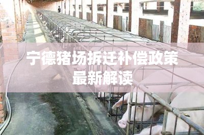 宁德猪场拆迁补偿政策最新解读