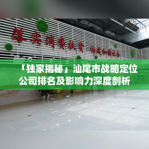 「独家揭秘」汕尾市战略定位公司排名及影响力深度剖析