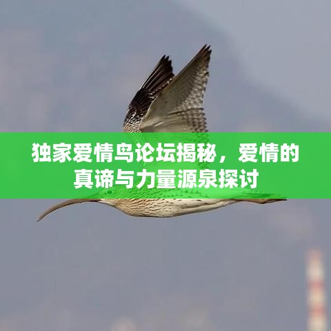 螓首蛾眉