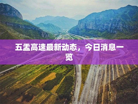 大张旗鼓