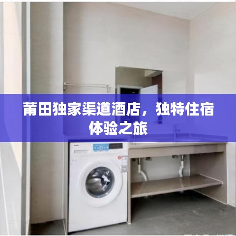 乌鸟私情