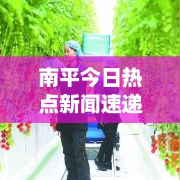 一丝不苟